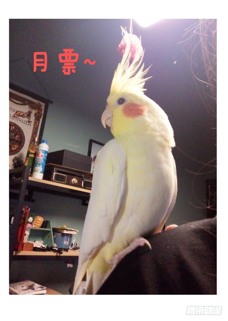 第八十六话-第91话