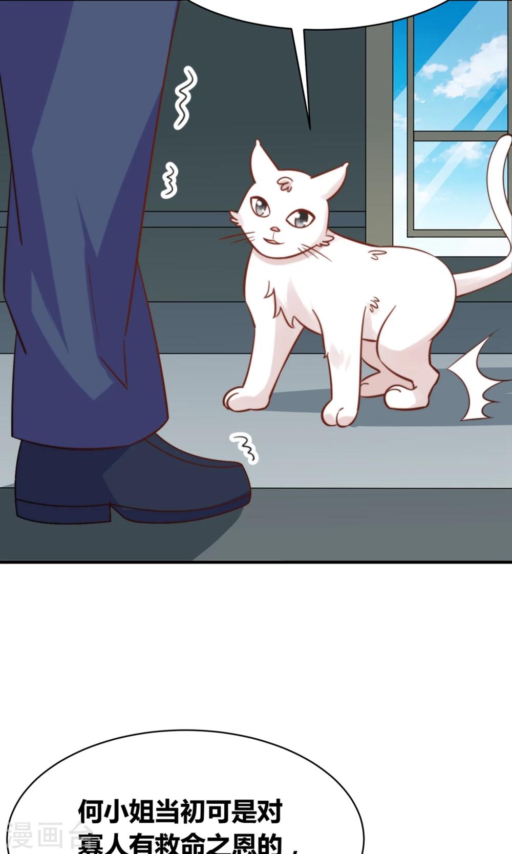 第49话 猫成精了-第51话