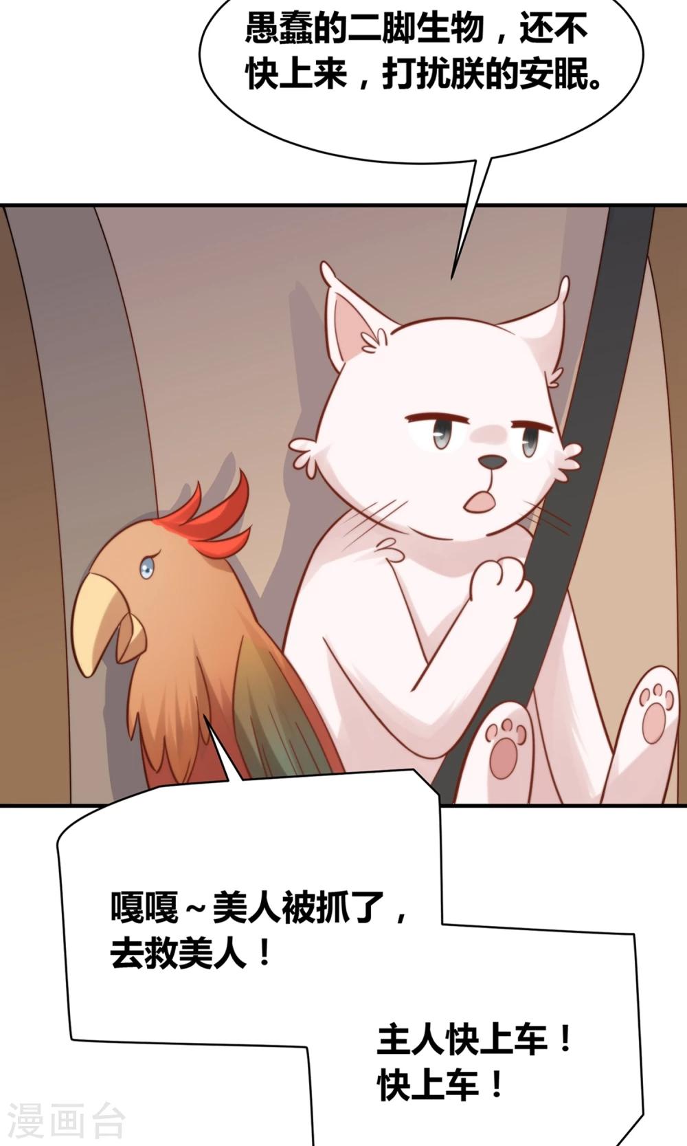 第49话 猫成精了-第51话