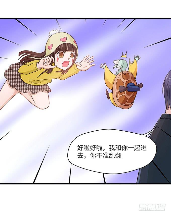 看我通灵龟毛！(1/2)-第47话