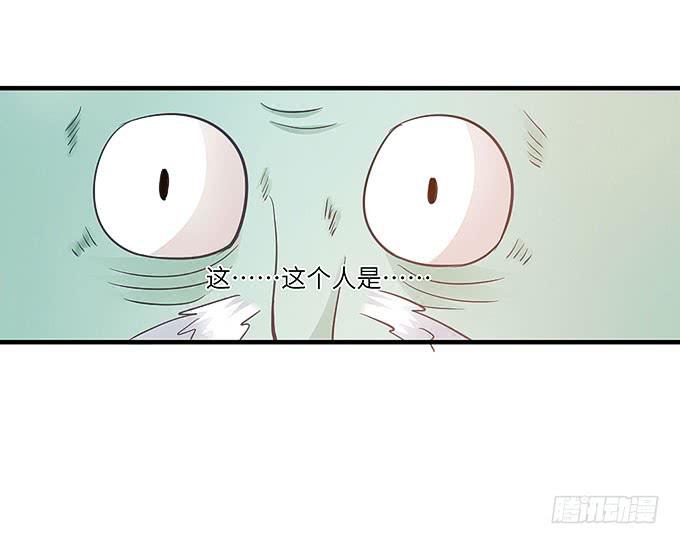 看我通灵龟毛！(1/2)-第47话