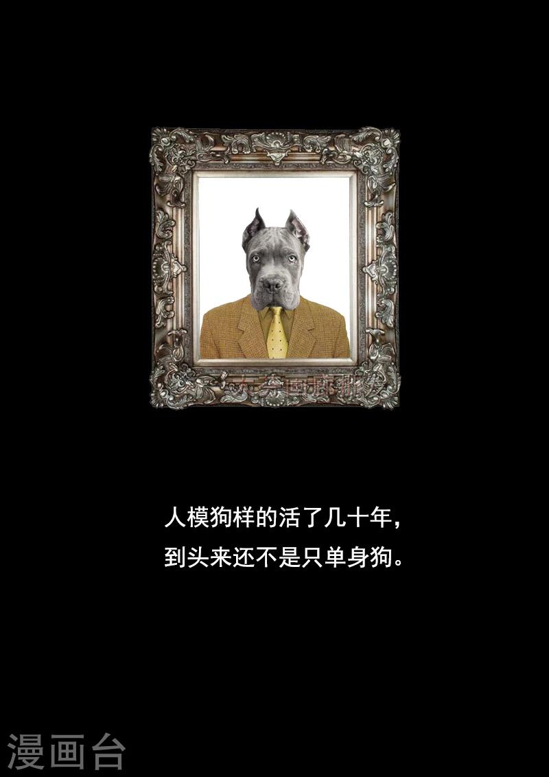 第43话 丈母娘的考验-第43话