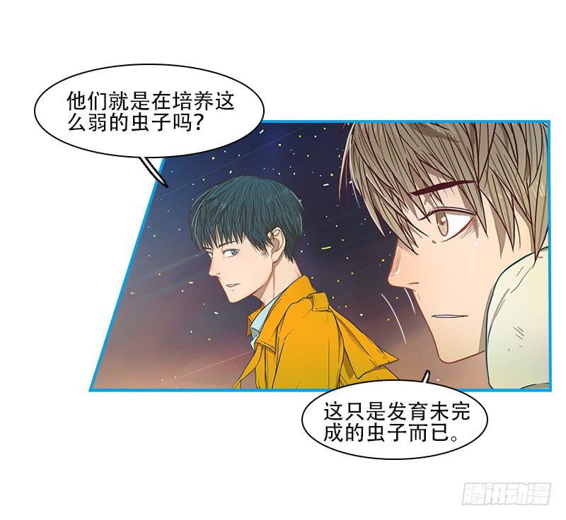 灭虫行动(1/2)-第41话