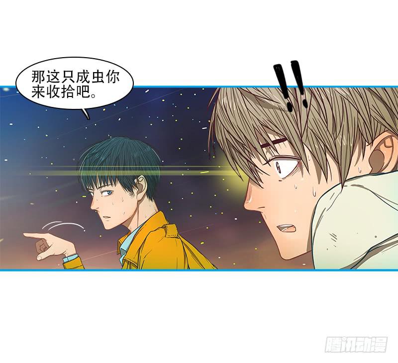 灭虫行动(1/2)-第41话