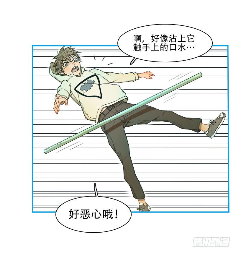 灭虫行动(1/2)-第41话