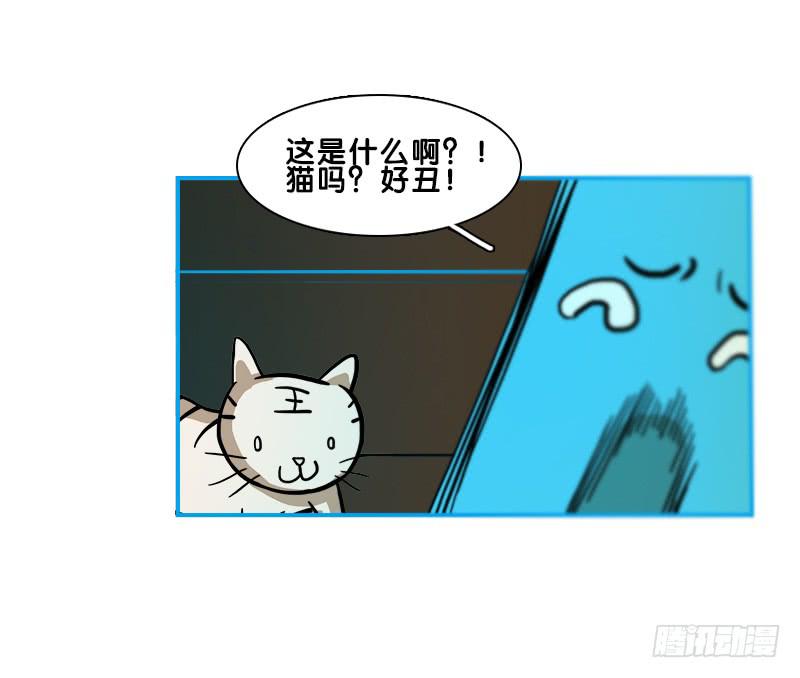 两只动物-第61话