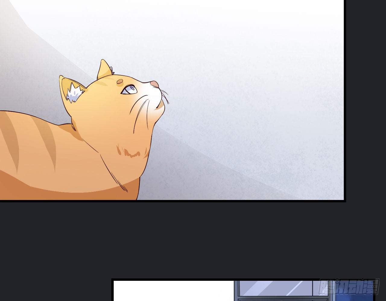 城隍妖神传 - 绝境求生出云子(3/3) - 3