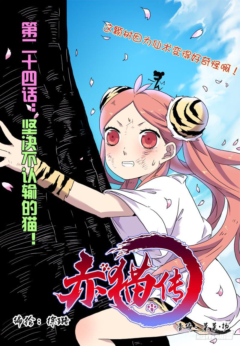 act0024坚决不认输的猫！-第25话