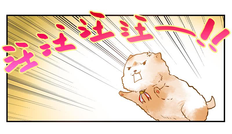 第十回 不许干涉我的生活！-第11话