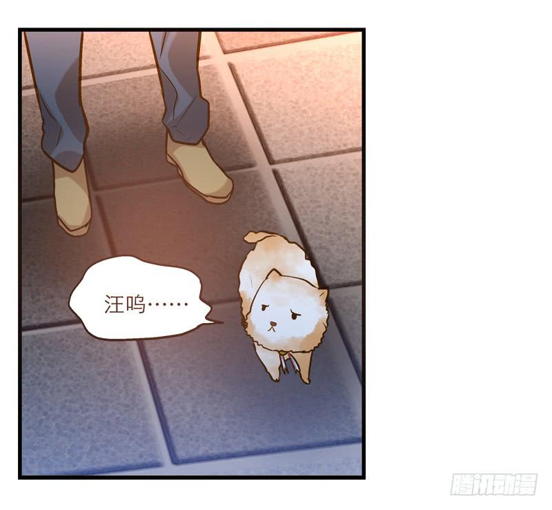 第十回 不许干涉我的生活！-第11话