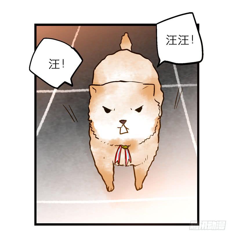 第十回 不许干涉我的生活！-第11话