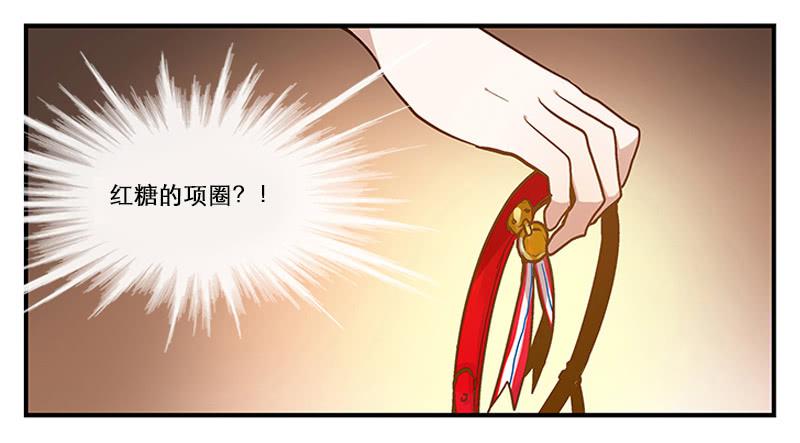 第二回 红糖你在哪儿？-第3话