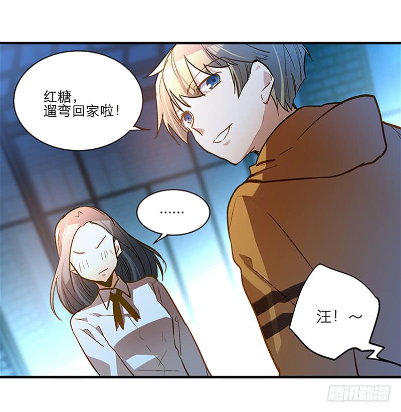 第二十话 该撒狗粮了-第21话