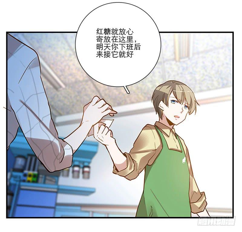 第四回 我的兽医先生-第5话