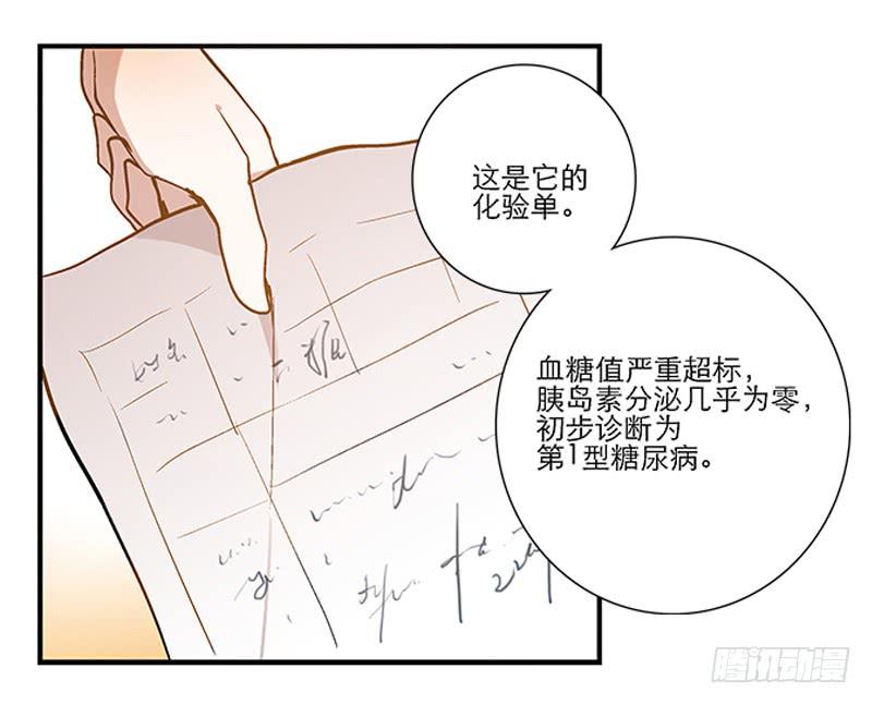 第四回 我的兽医先生-第5话