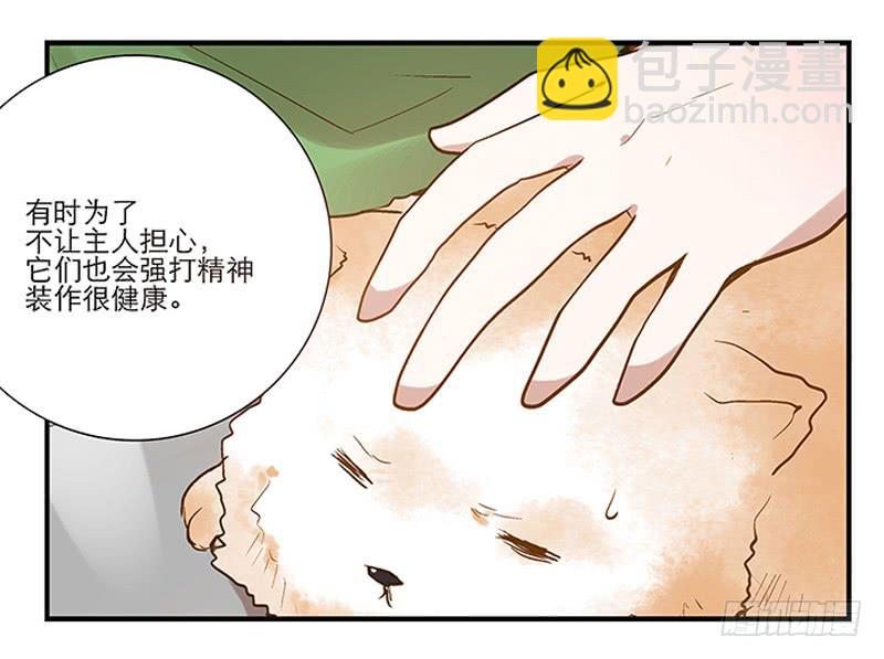 第四回 我的兽医先生-第5话