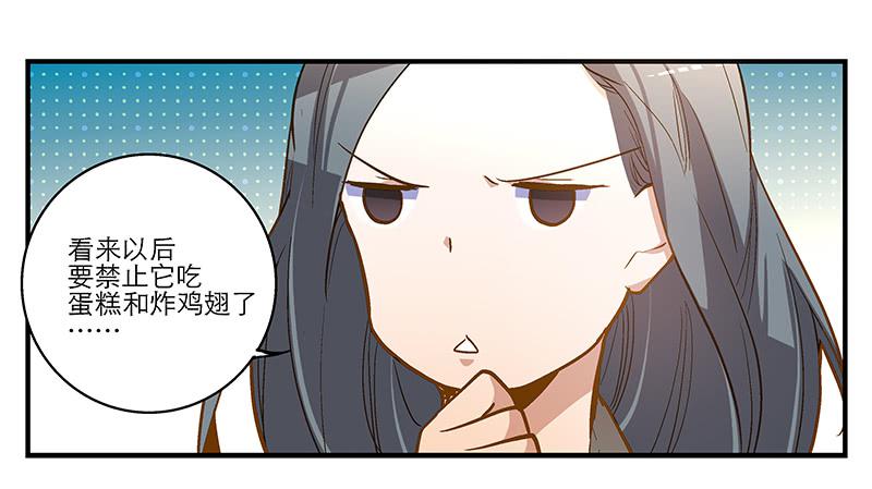 第六回 红糖的遛狗员（下-第7话