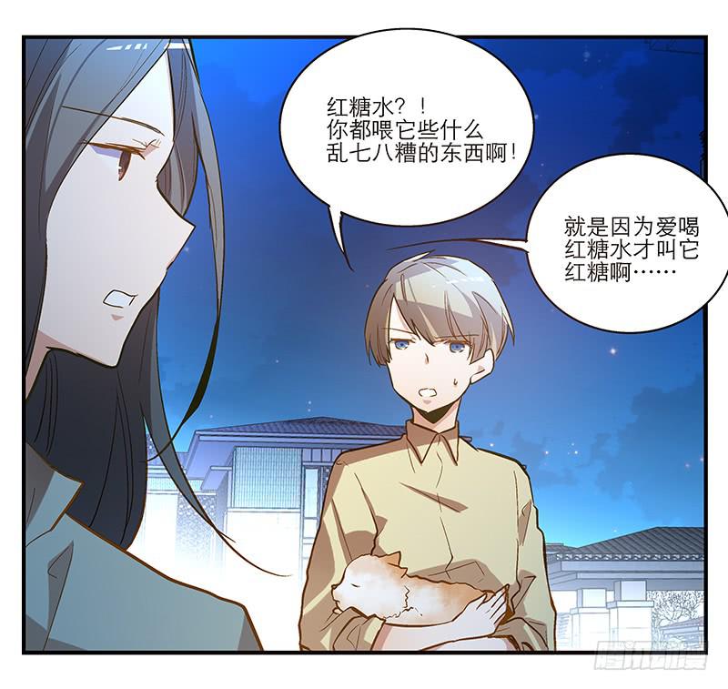 第六回 红糖的遛狗员（下-第7话