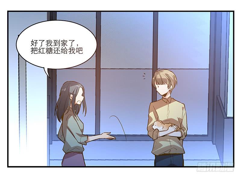 第六回 红糖的遛狗员（下-第7话