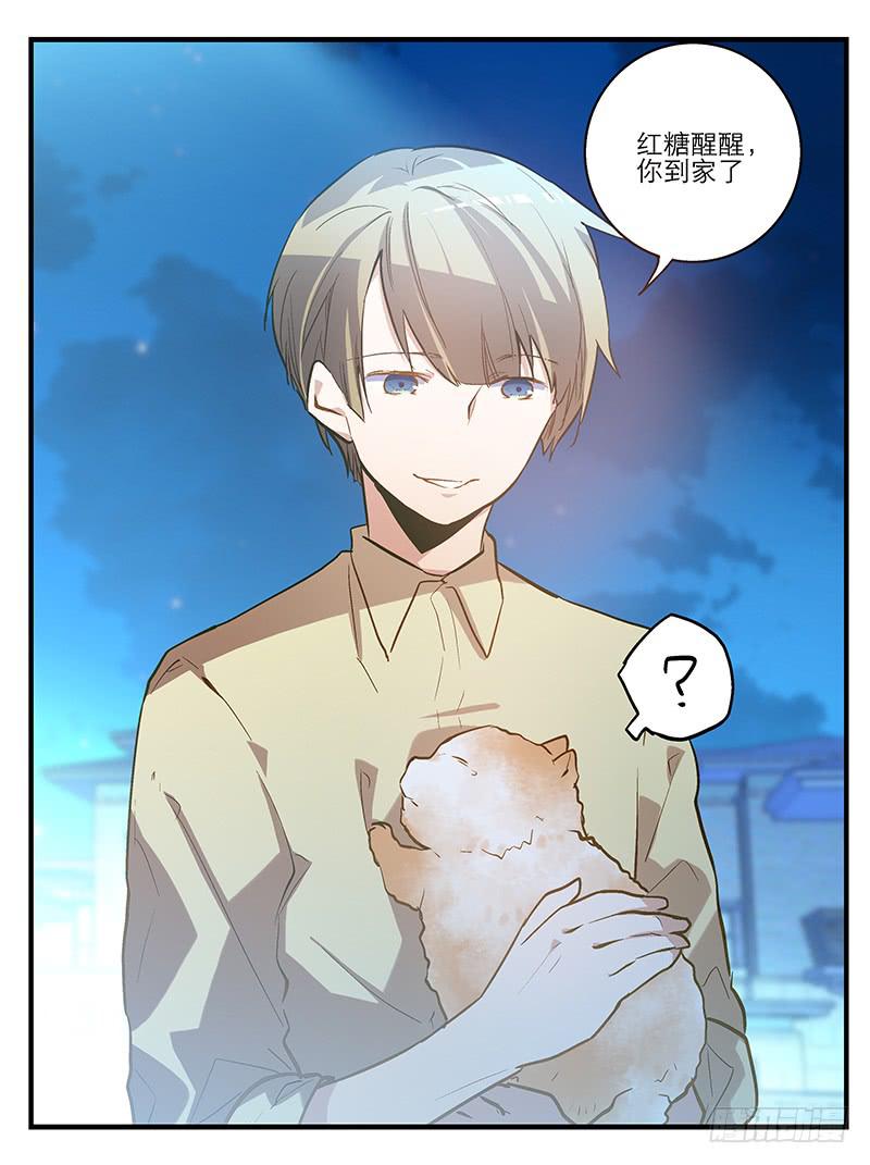 第六回 红糖的遛狗员（下-第7话