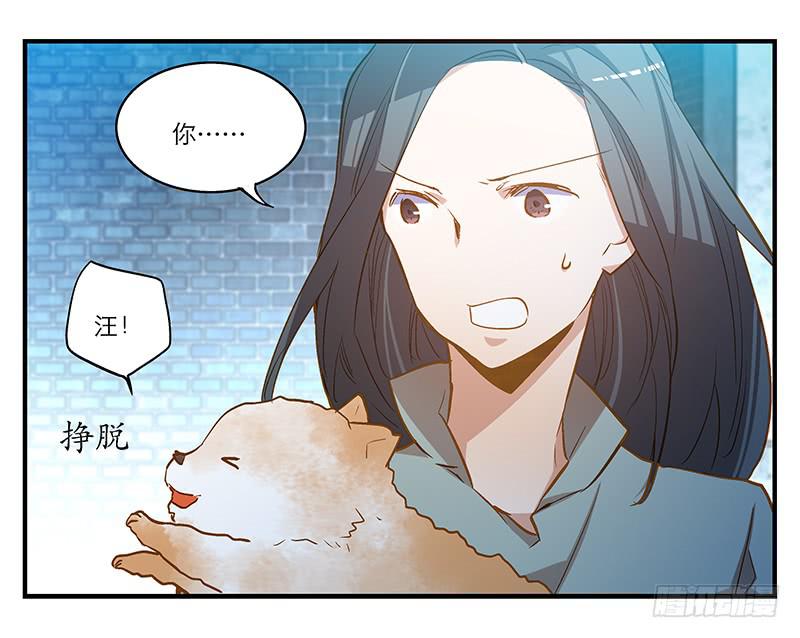 第六回 红糖的遛狗员（下-第7话