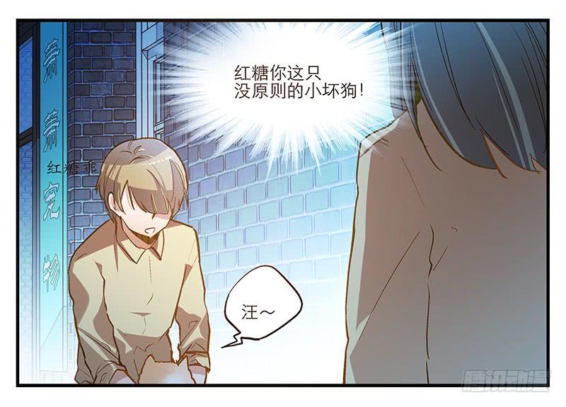 第六回 红糖的遛狗员（下-第7话