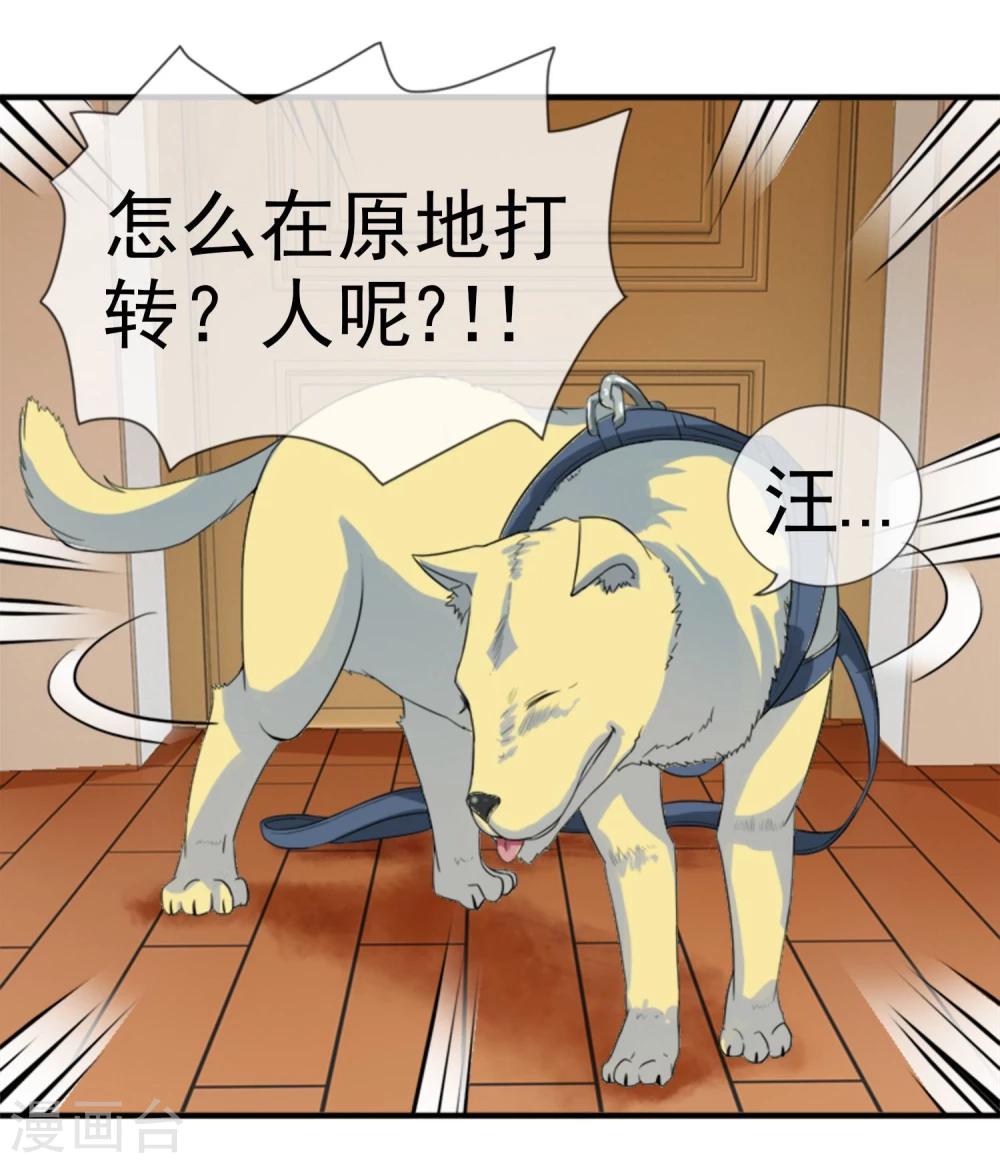 第12话 化茧逃生-第13话