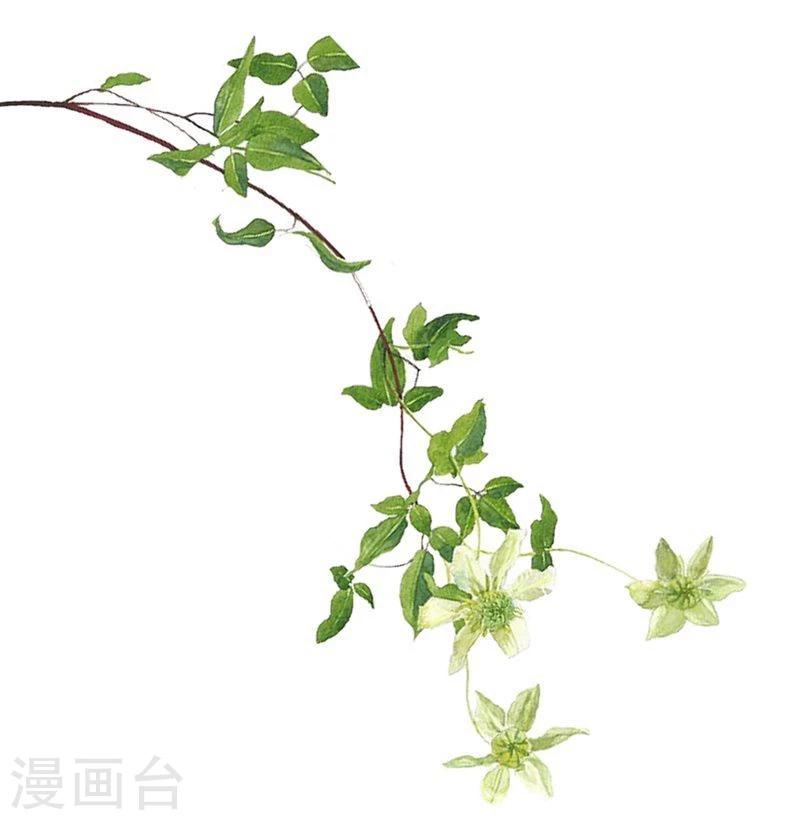 第3话 迷人的小妖精-第3话