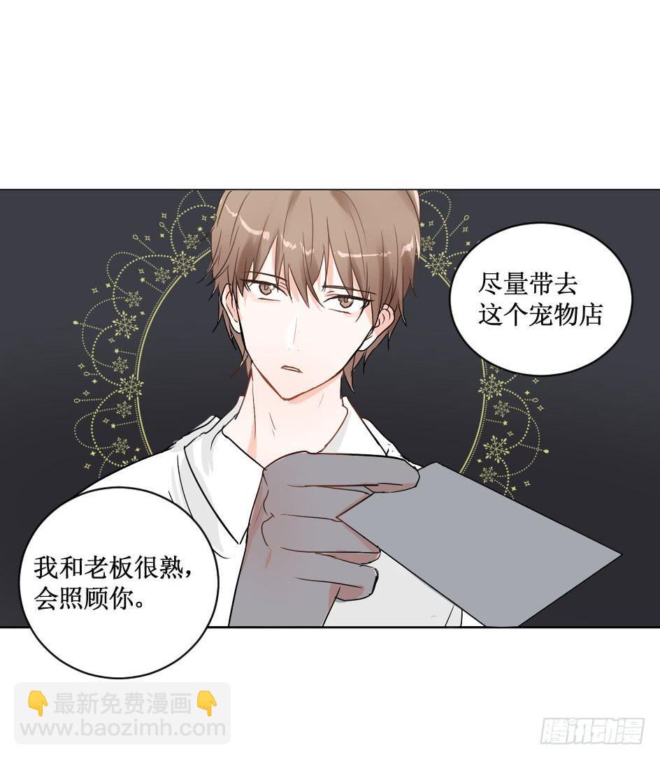 送龙猫做发布会礼物?!-第27话