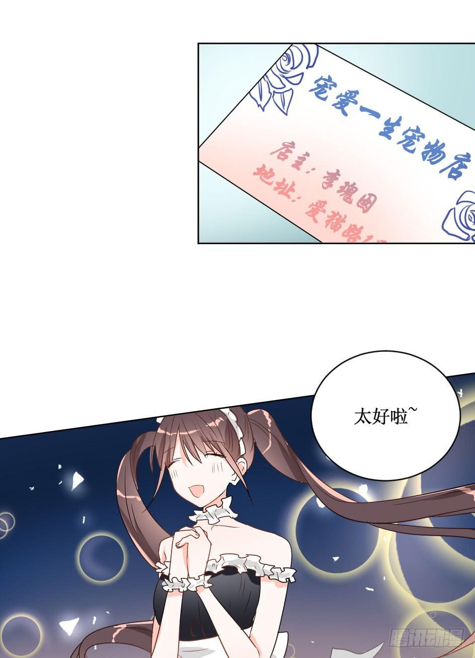 送龙猫做发布会礼物?!-第27话