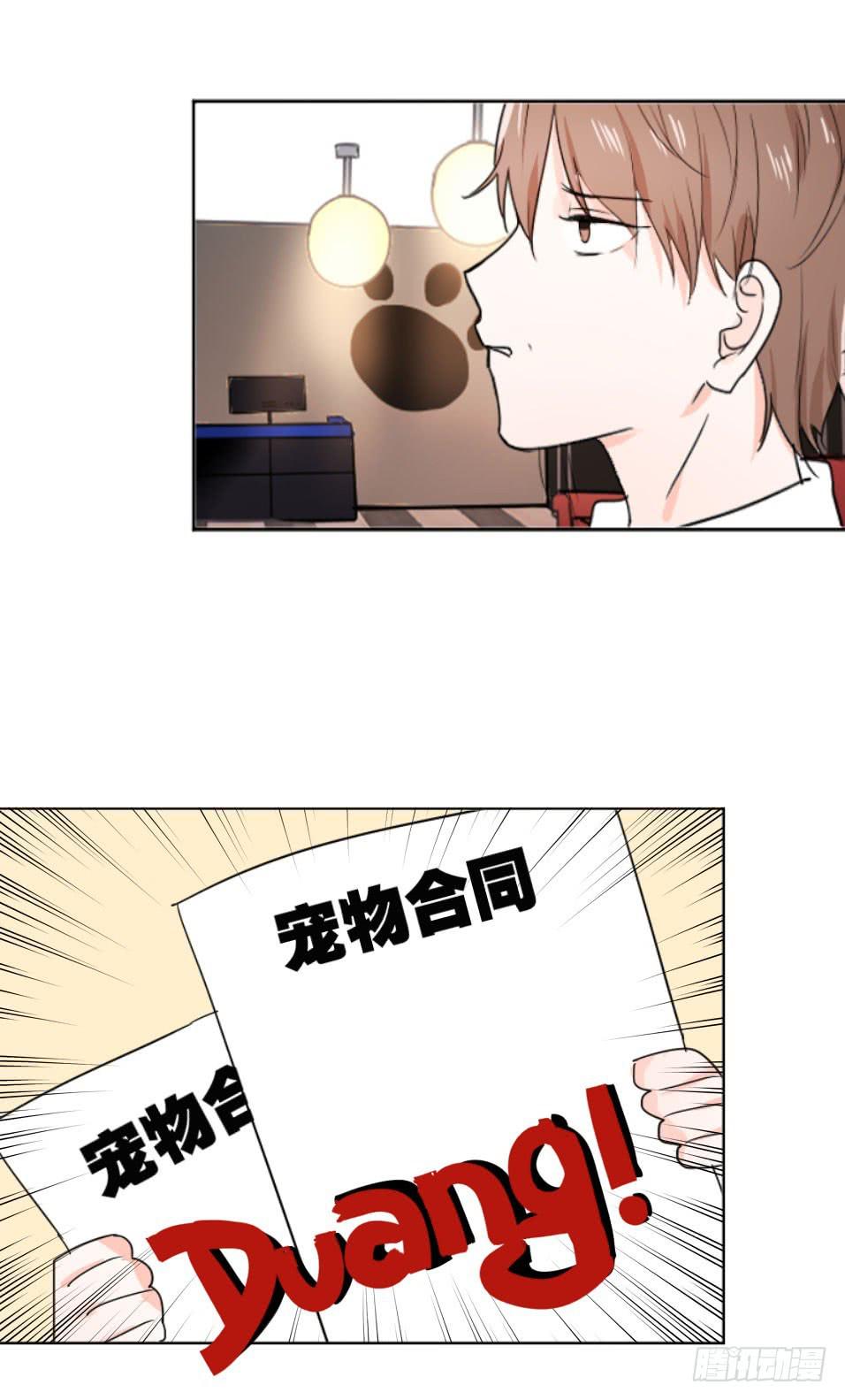 送龙猫做发布会礼物?!-第27话