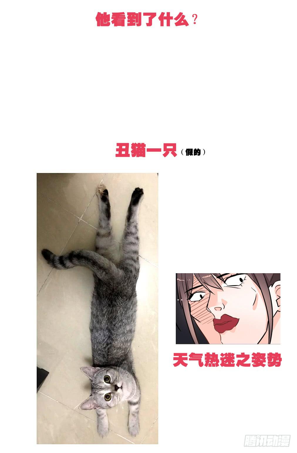 送龙猫做发布会礼物?!-第27话