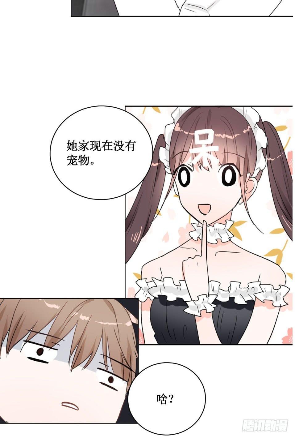 送龙猫做发布会礼物?!-第27话