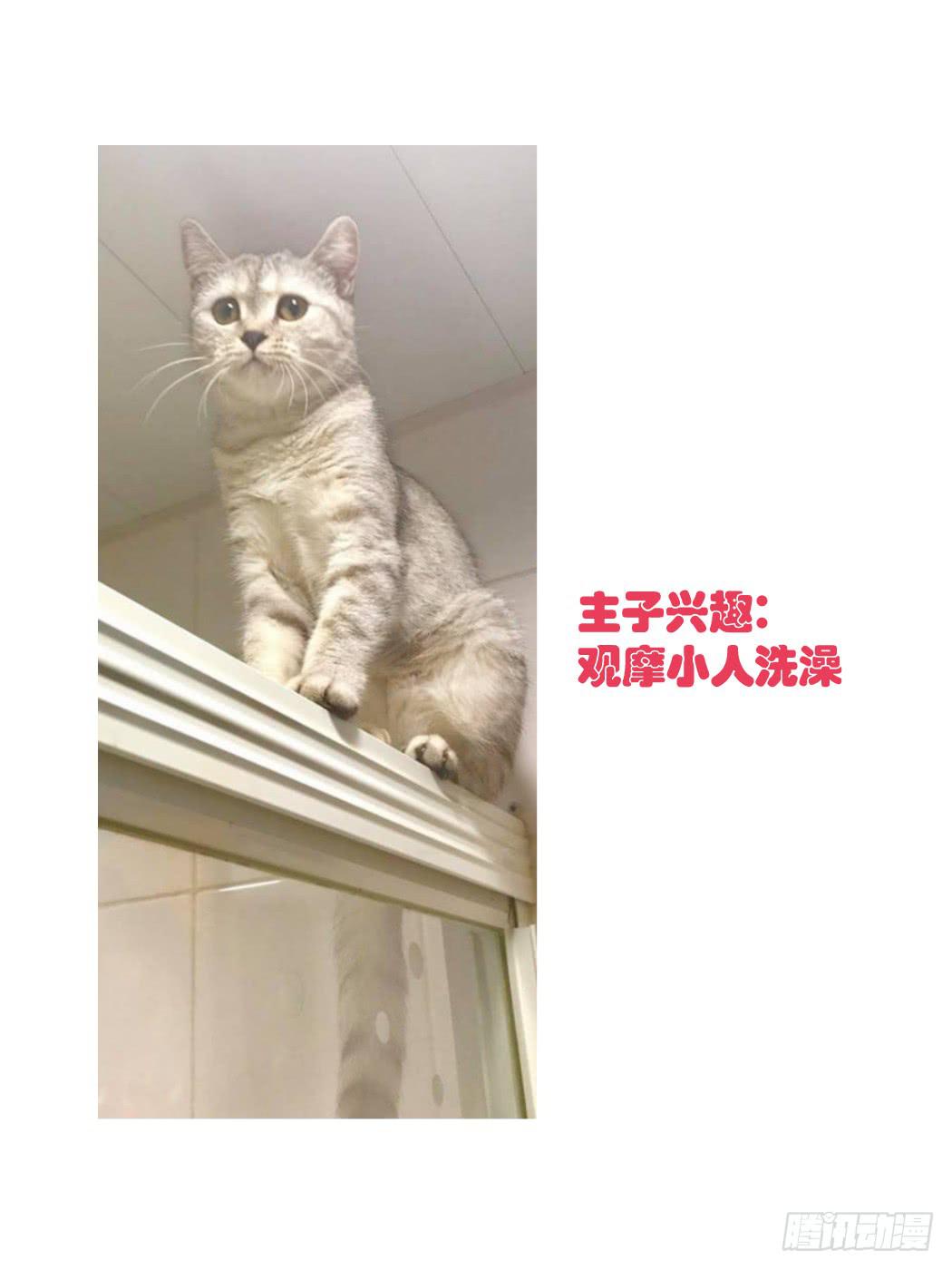 到手的生意不能飞了-第29话