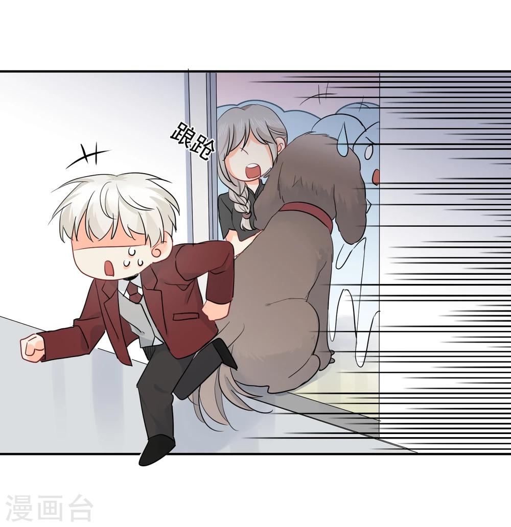 第14话 壁咚你！(1/2)-第15话