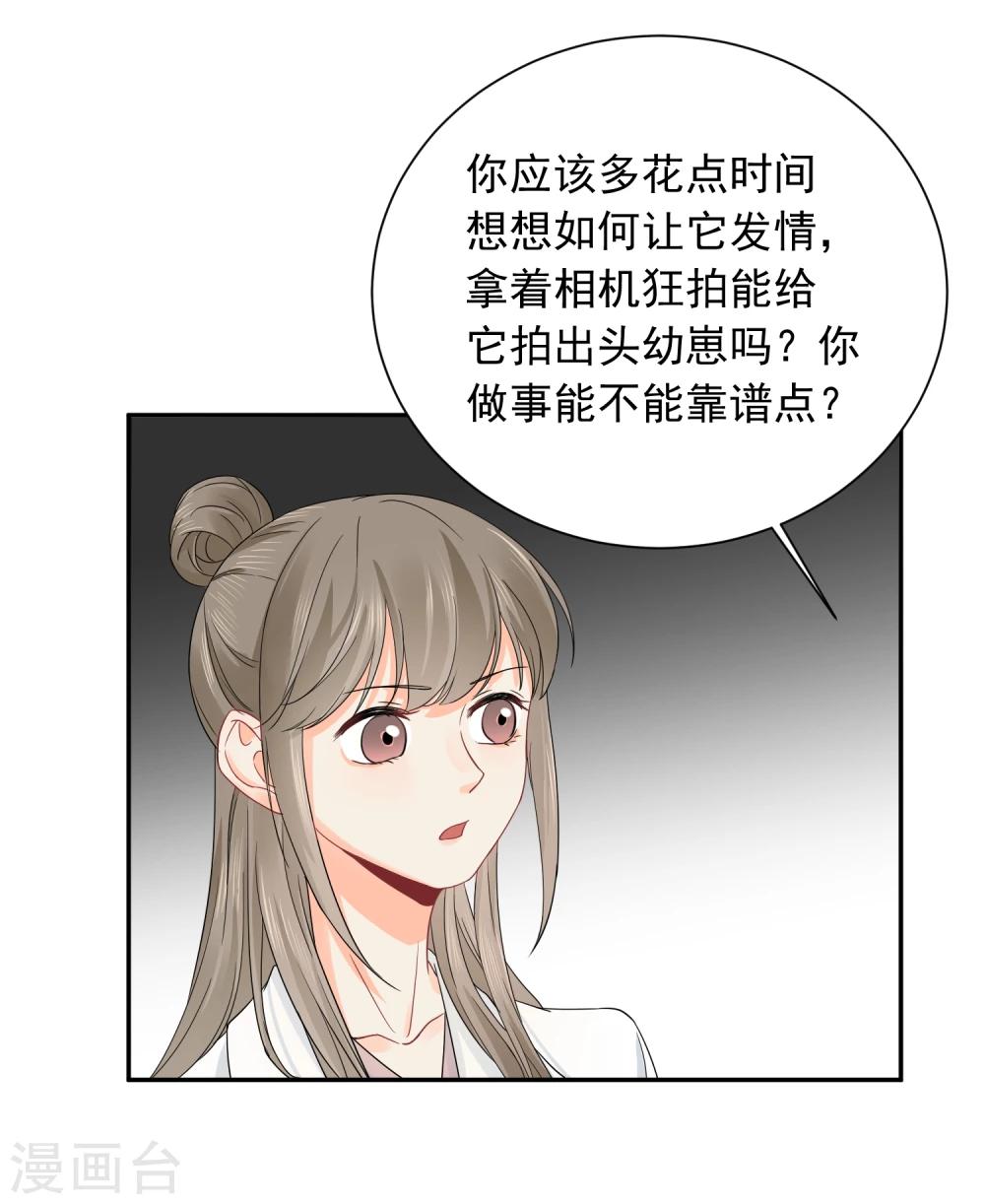 第14话 壁咚你！(1/2)-第15话