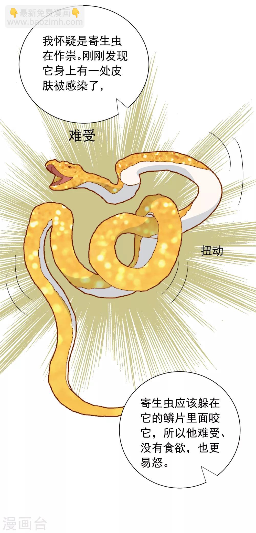 第60话 狂蟒危机2-第61话