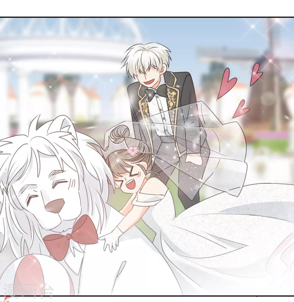 最终话 后来的我们只剩幸福-第77话