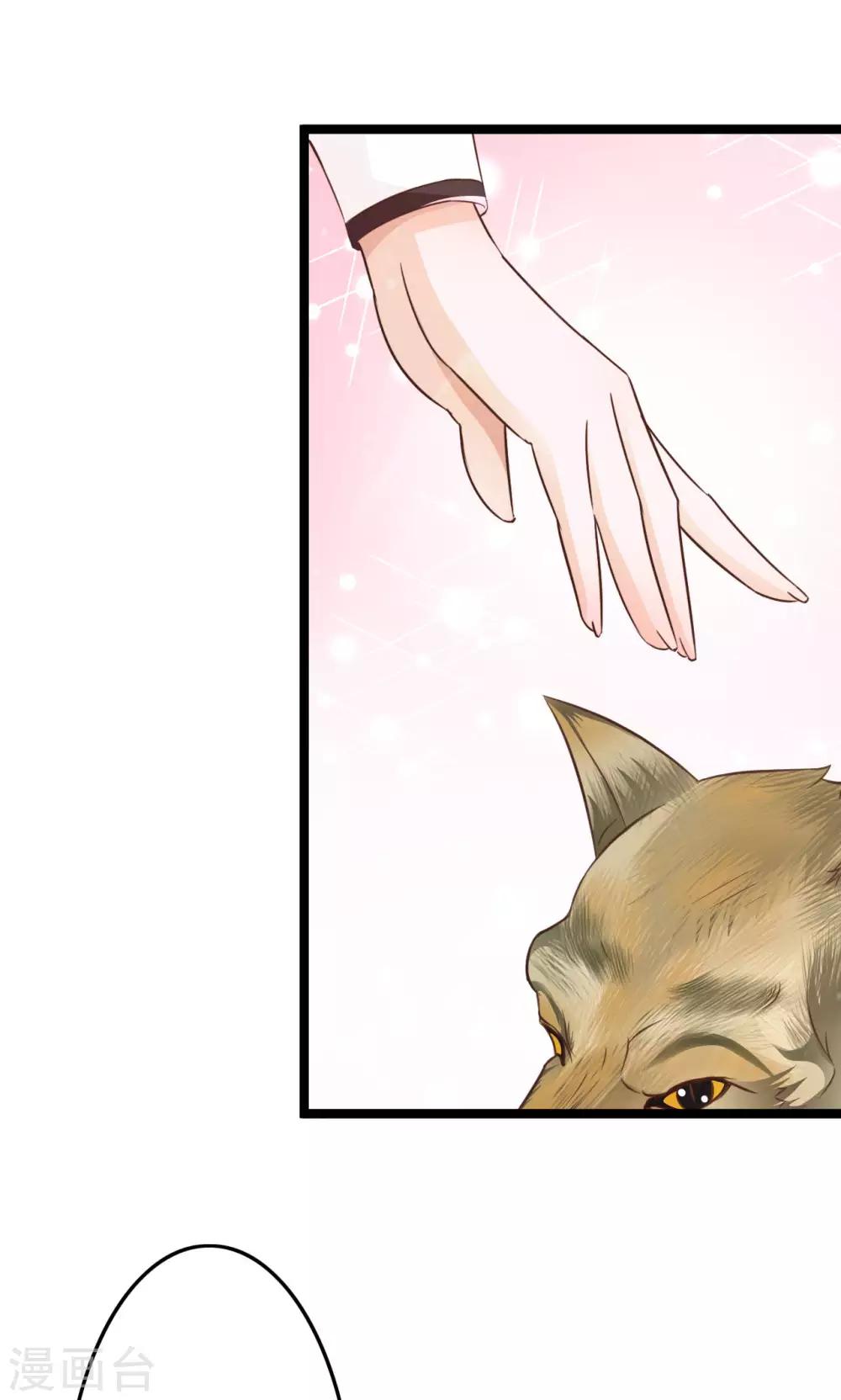 第47话 给你个眼神自己领会-第51话