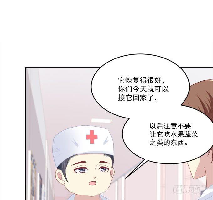 装作看不见(1/2)-第25话