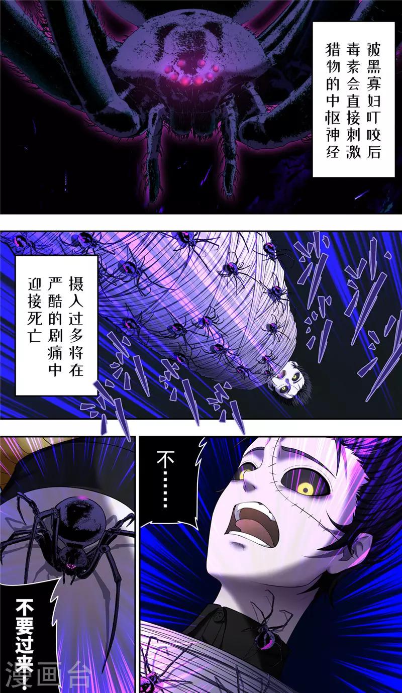 第33话 蜘蛛-第37话