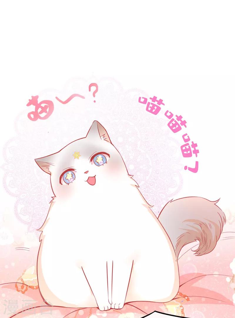 第2话 女人你无法拒绝我！(1/2)-第3话