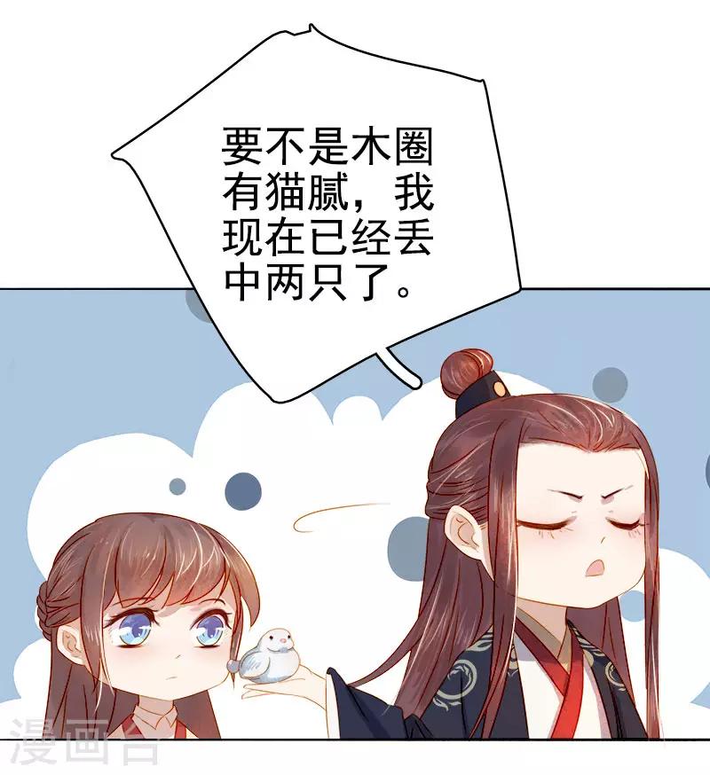 第36话 逛集市-第37话