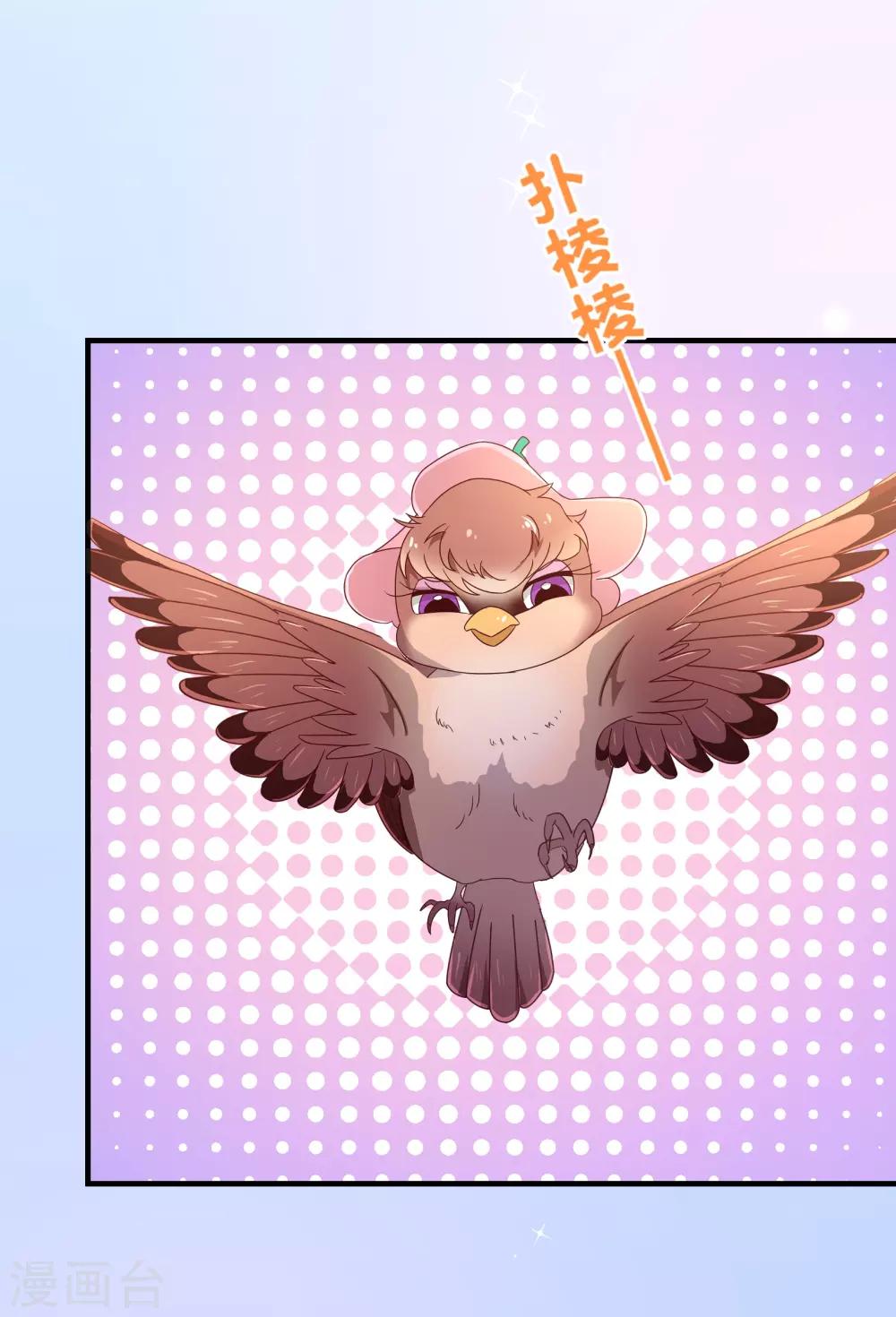 第117话 追夫-第119话