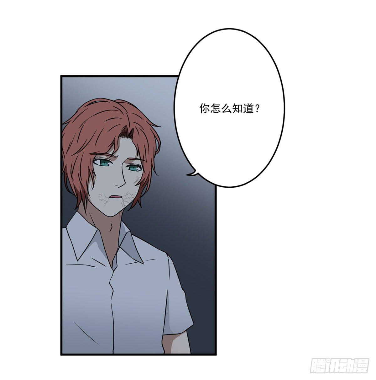 笨蛋(1/2)-第21话