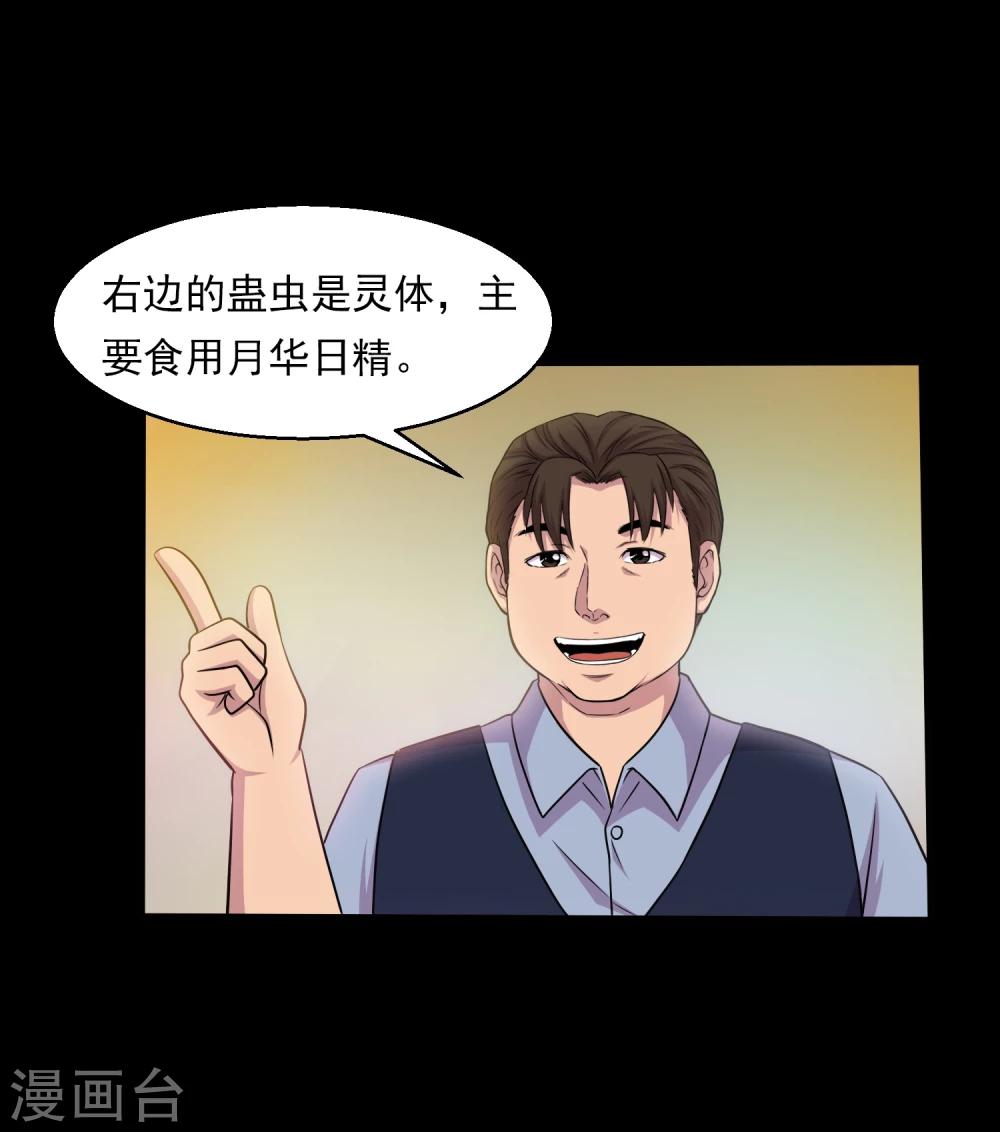 第37话 神奇的养蛊殿-第39话