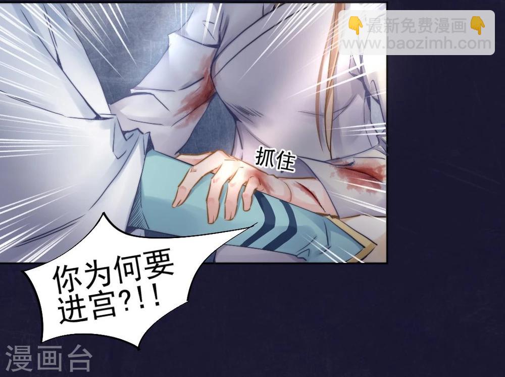 第30话 沈盟主也被骗进宫？-第31话