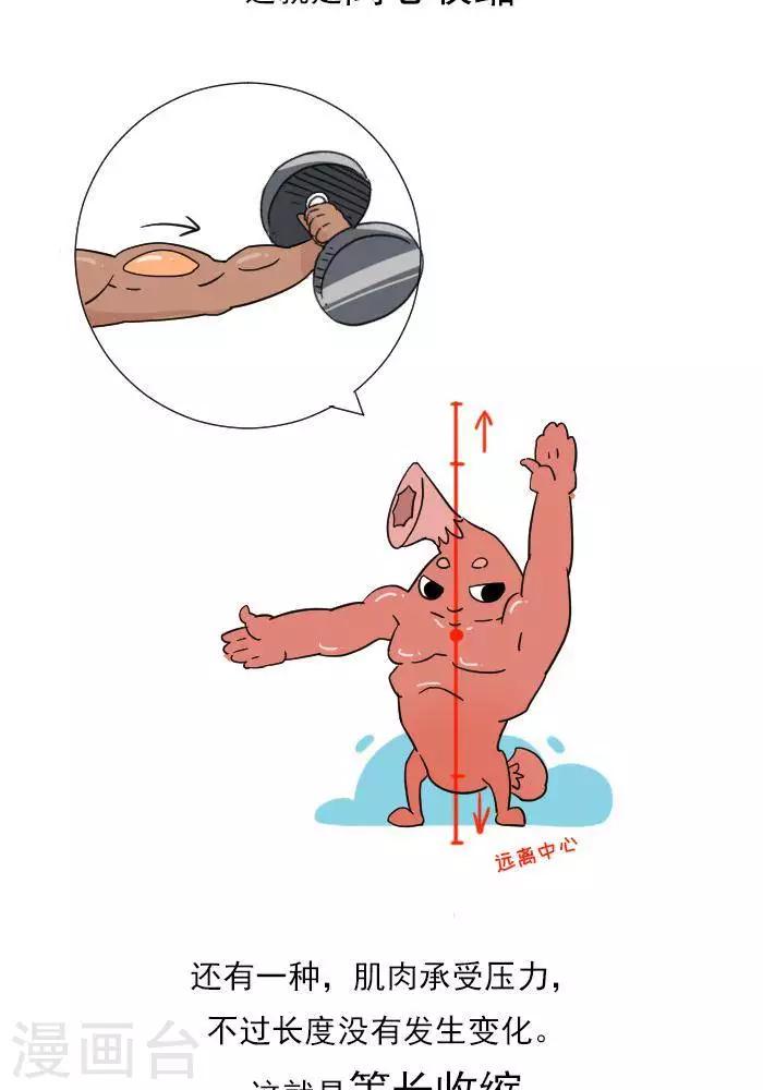 第11话  你对肌肉多了解？-第11话