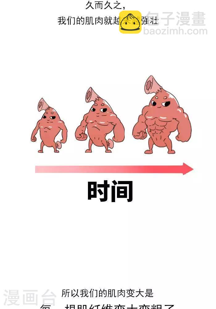 第11话  你对肌肉多了解？-第11话