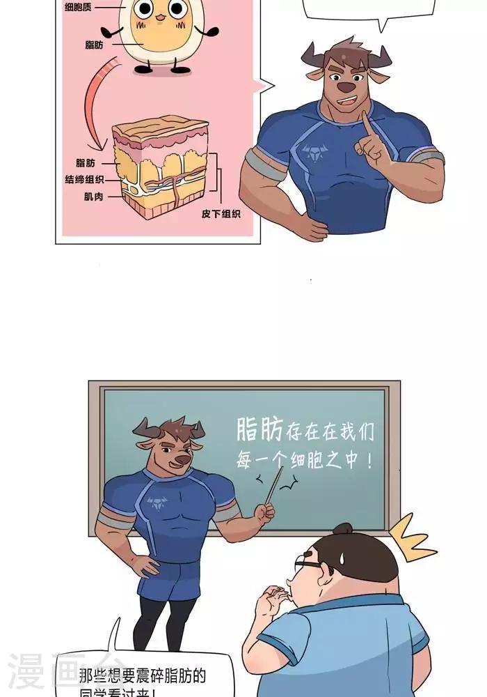 第5话  脂肪有多神秘-第5话